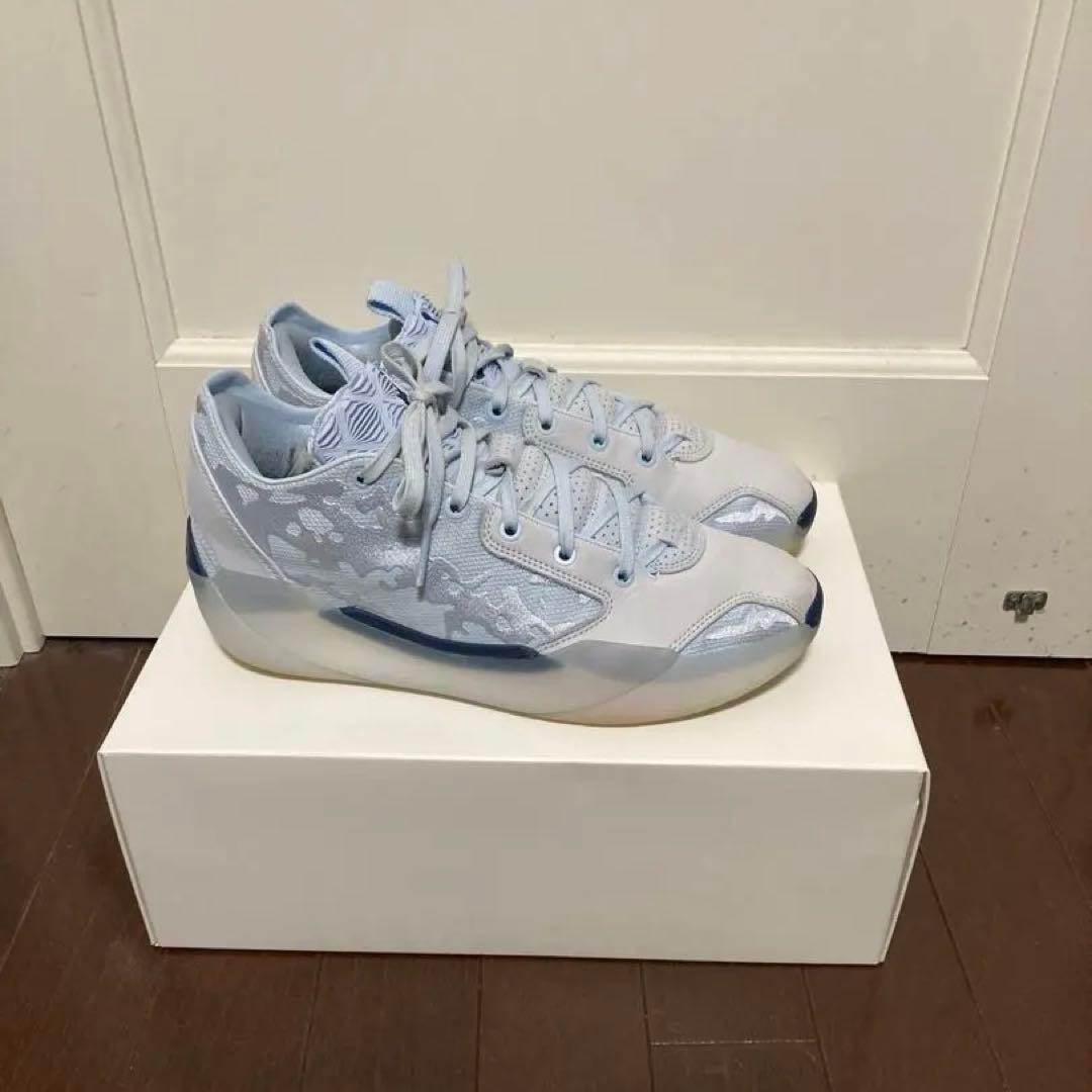 ジョーダン39 jordan39 27cm