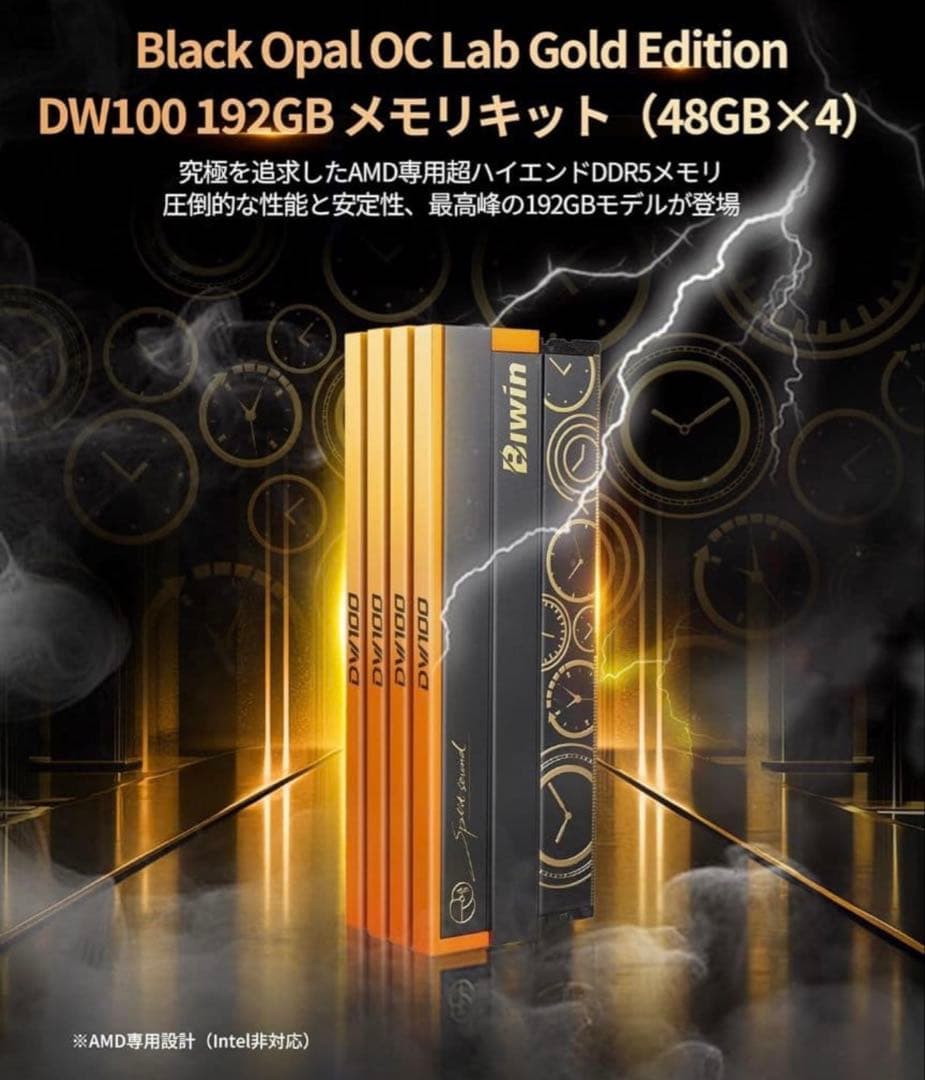 Kensei　192GBセットBiwin DW100