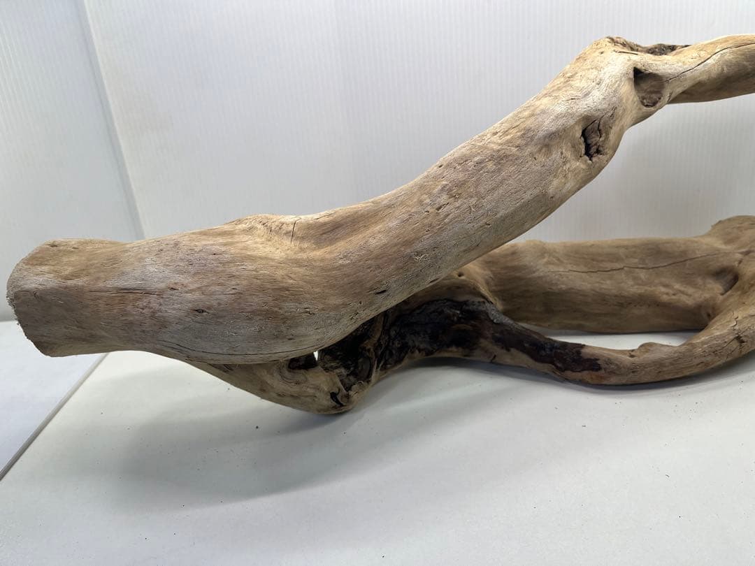 n85大型流木 アク抜き済み 爬虫類シェルター 登り木 レイアウト用 インテリア