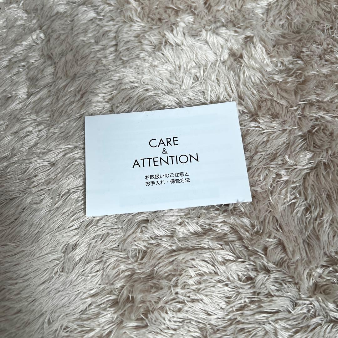 未使用級✨　イアパピヨネ　スワローマチショルダーバック　シルバー　レザー