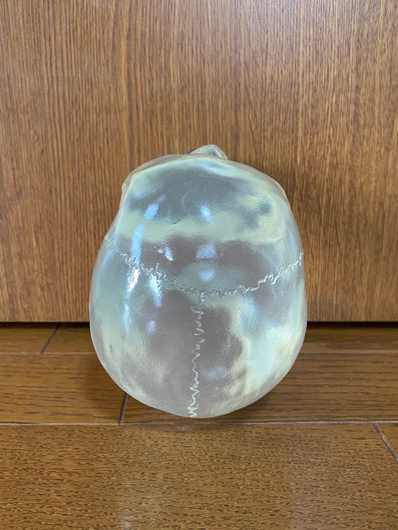 骸骨 スカル 頭蓋骨 ドクロ 髑髏 ガイコツ 置物 インディジョーンズ クリア