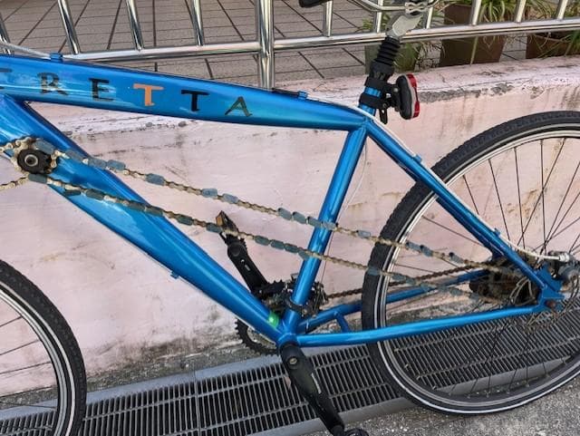 DIAMOND シフター・ブレーキレバー 青