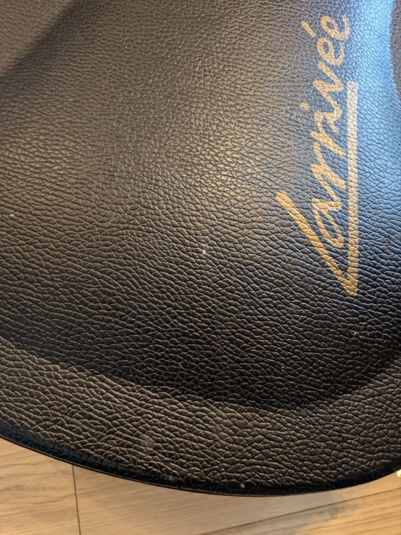 L-02 / Larrivee（アコースティックギター）