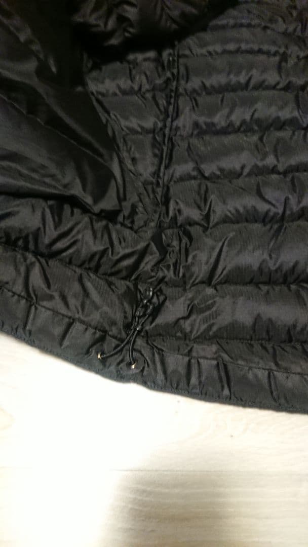 Arc'teryxアークテリクスCerium LT VestセリウムLTベスト