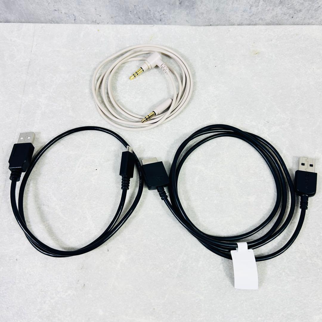 kalafina SONY ウォークマンNW-A45HN 専用クリアケース付き