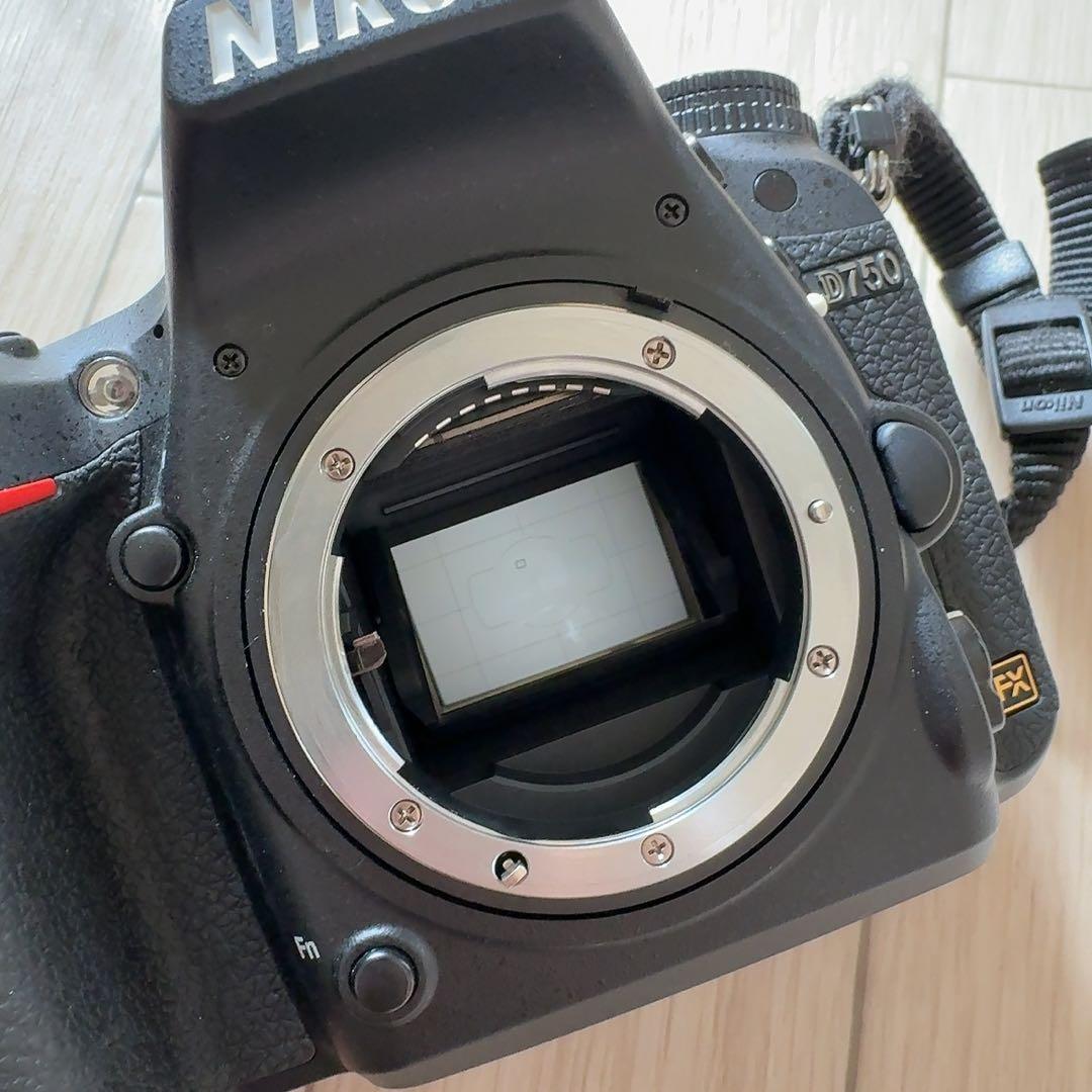 Nikon D750 24-120mm レンズキット
