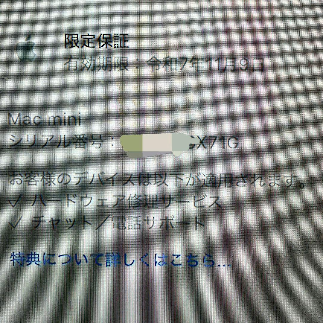 Mac mini M4 256GB 16GB美品 2025年11月9日保証有り
