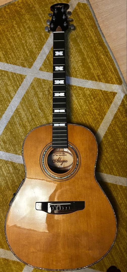 Alegre アコースティックギター　純正ピックアップ付