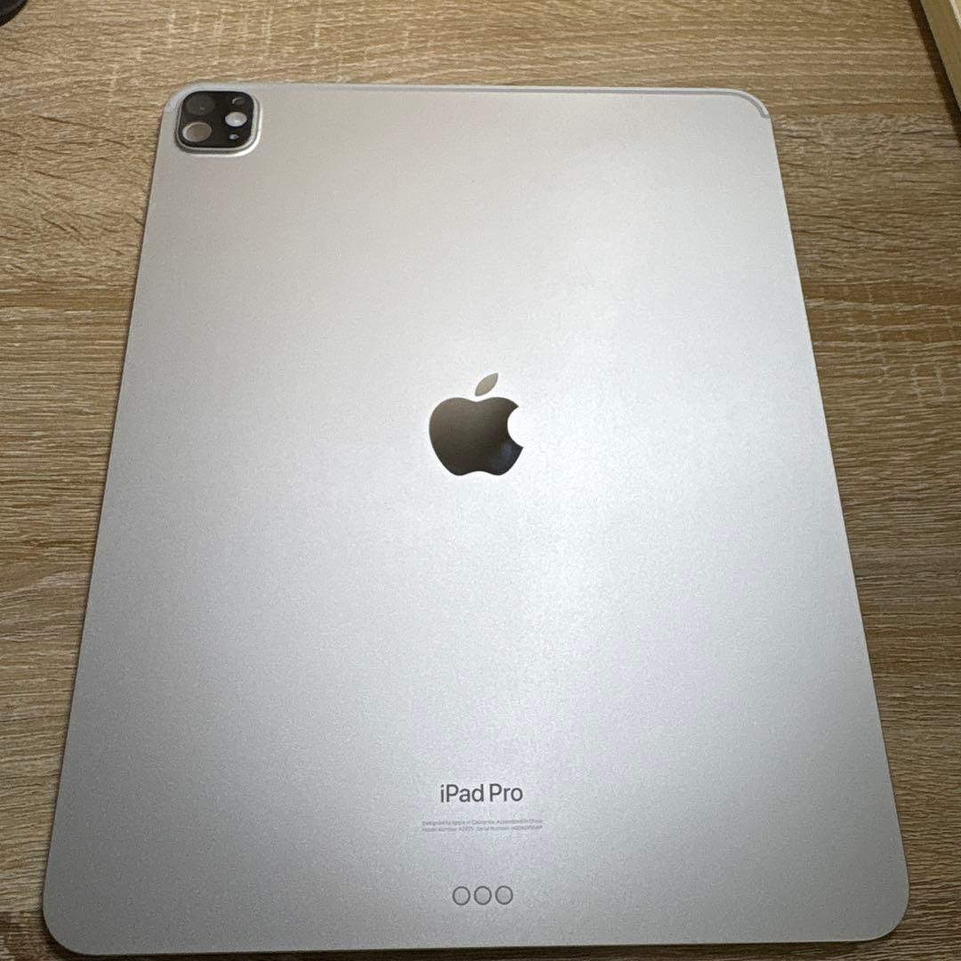 付属品多数　iPad Pro 13インチ M4 256GB シルバー Wi-Fi