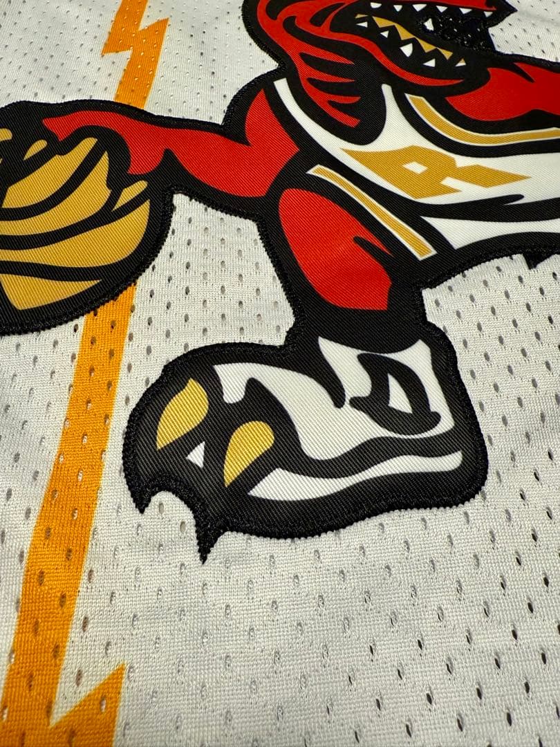 NBA トロント・ラプターズ Vince Carter ジャージ Mサイズ