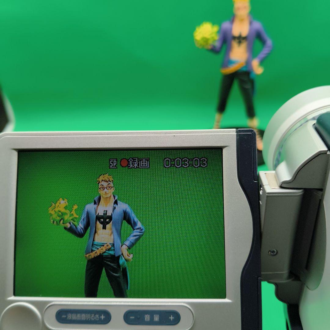 SONY ソニー DCR-TRV30 スーパーナイトショットOK