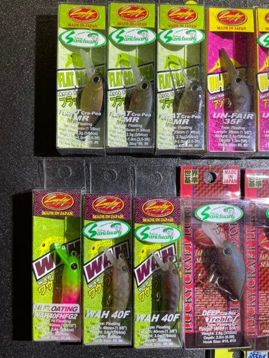 【サンクチュアリオリカラコレクション】 ☆限定１セット！早い者勝ち