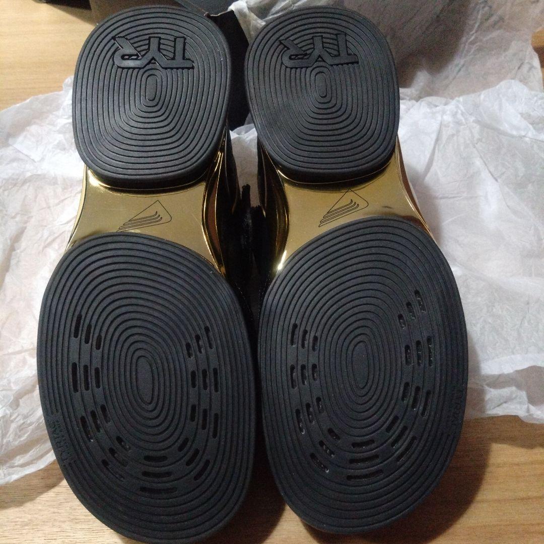 TYRFORCE エリートカーボンリフター　US M7 W8.5 24.6cm