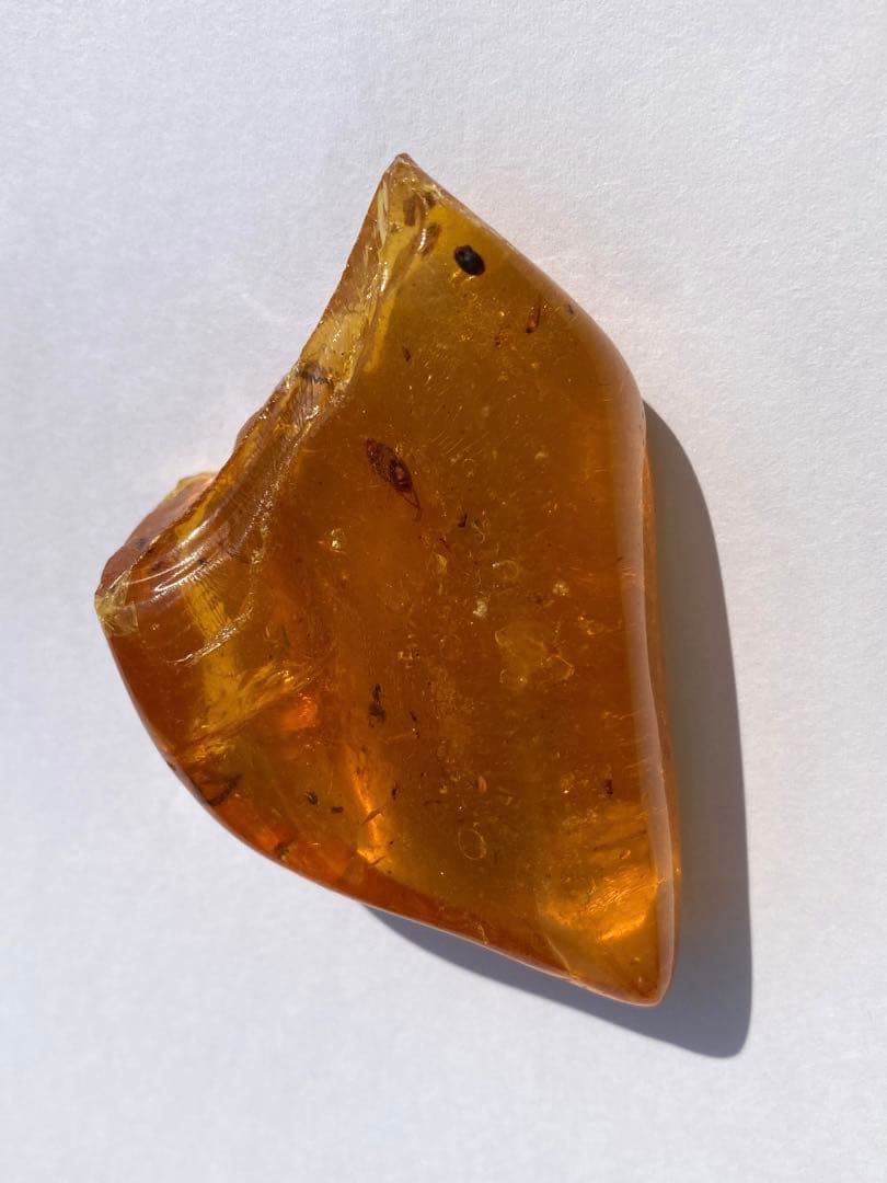 琥珀の半化石のコーパル　希少　虫入り　パワーストーン
