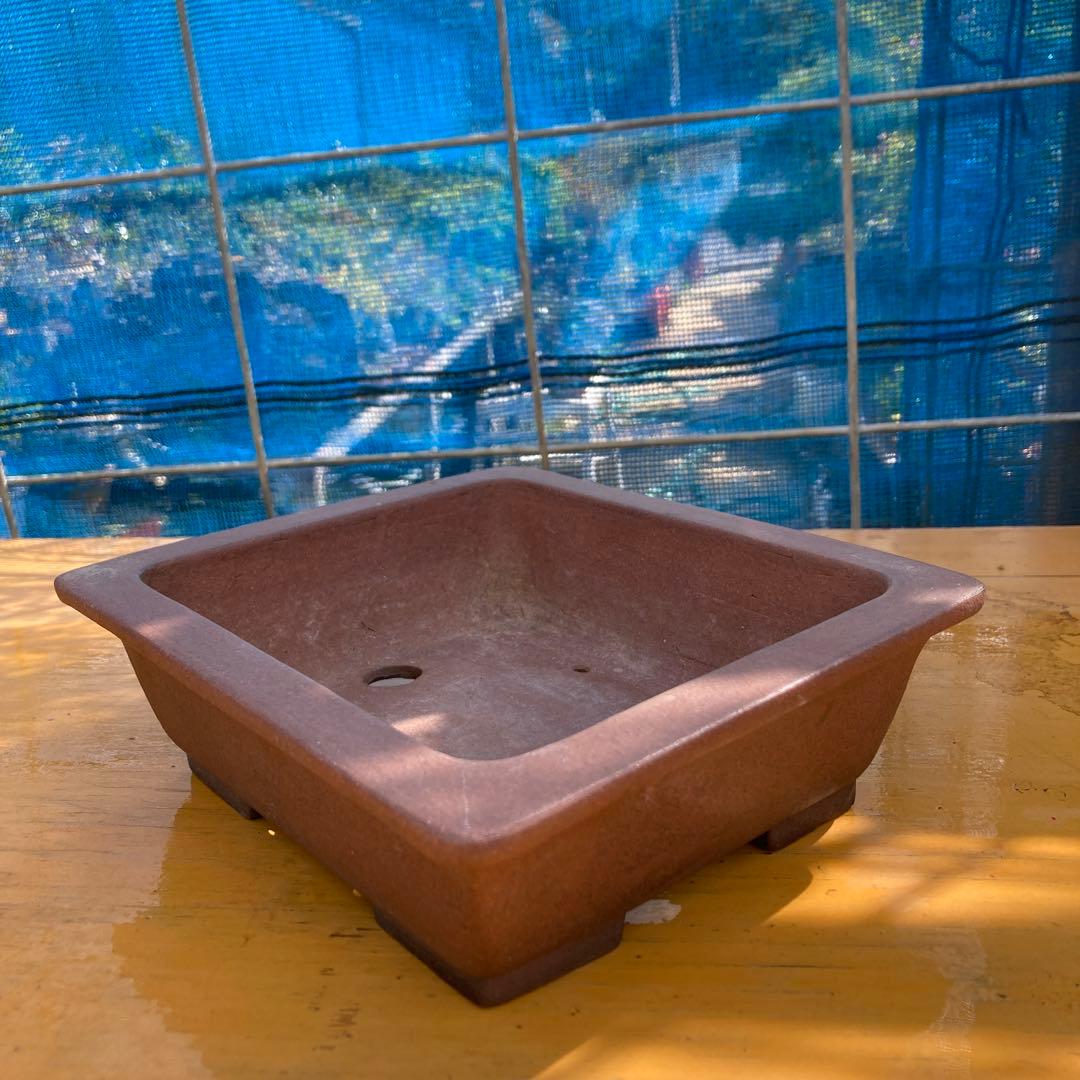 正山奥行があり使い易い鉢。