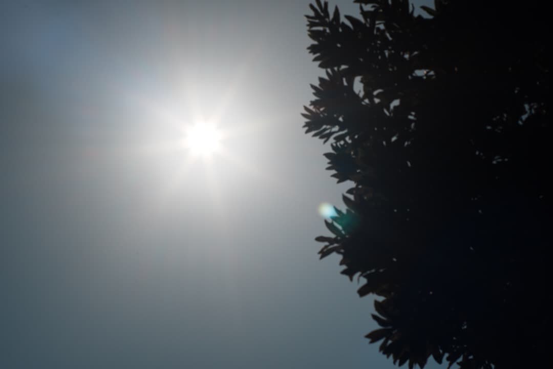 【極美品】Carl Zeiss Planar 85mm F1.4 MMJ 530