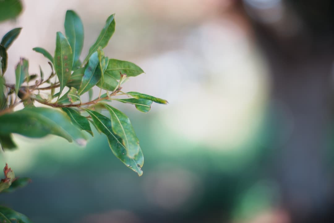 【極美品】Carl Zeiss Planar 85mm F1.4 MMJ 530