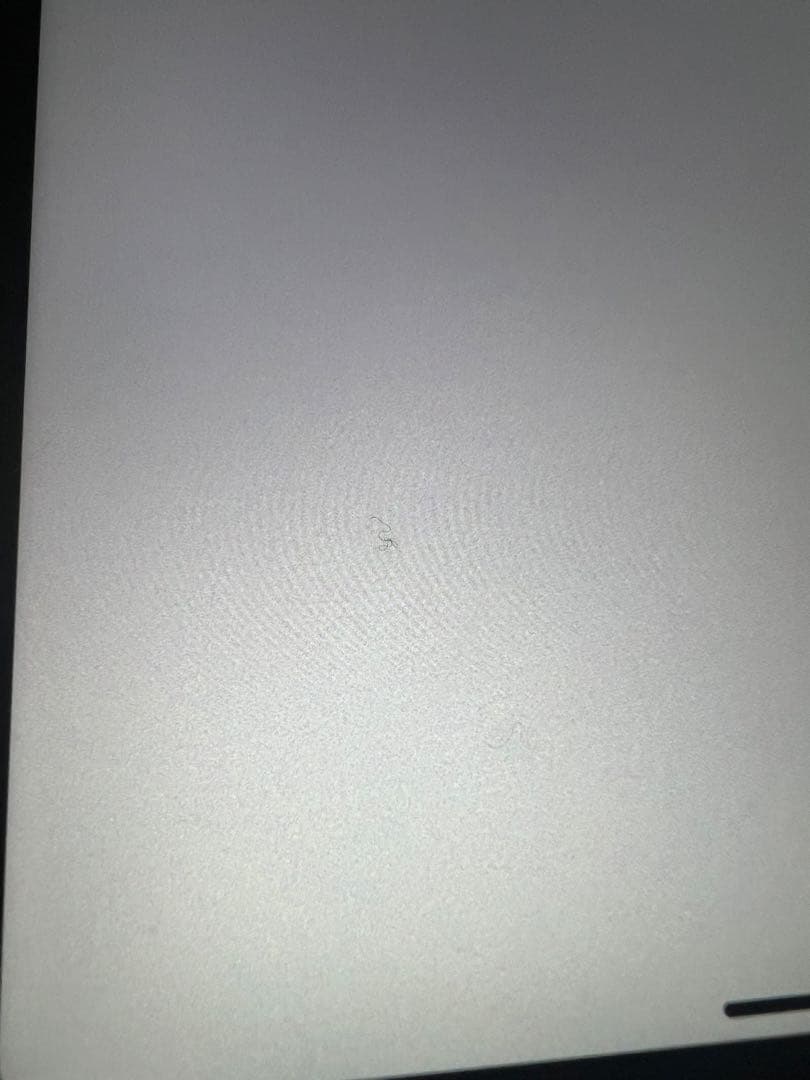 iPad Pro (11インチ)(第2世代) Apple pencil、ケース付