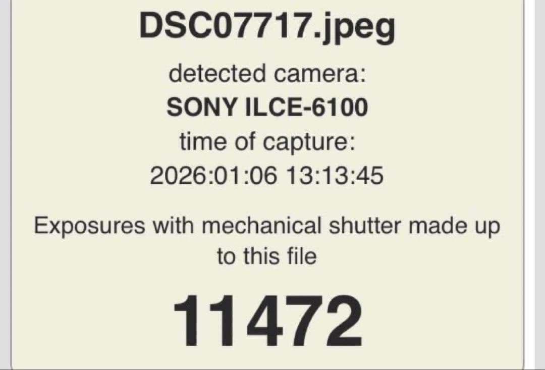 【ゆう】α6100 レンズセット【ボディのみ可】| 使用少 SONY