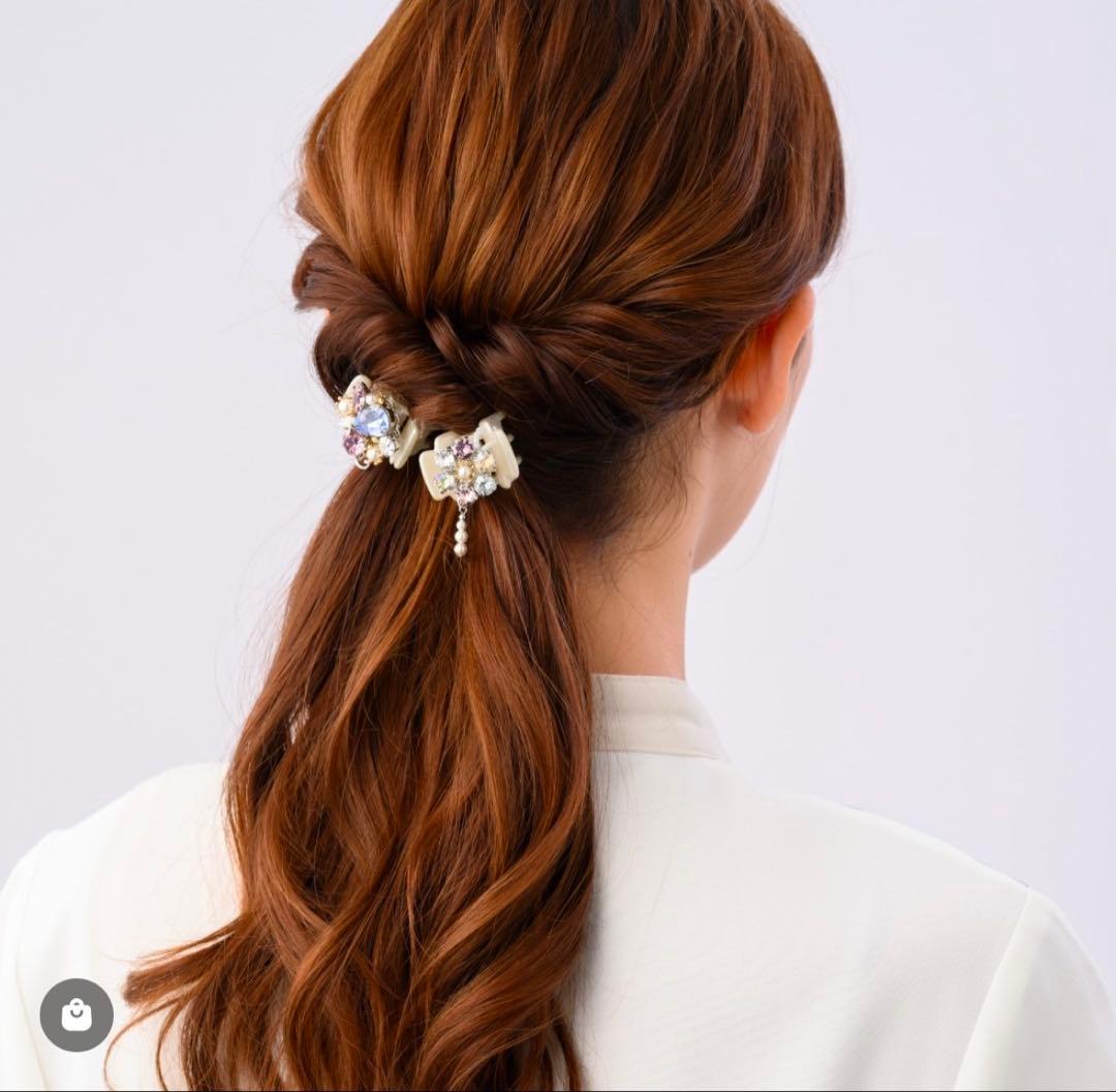 ノーザンライツデザートクリップ2個セット