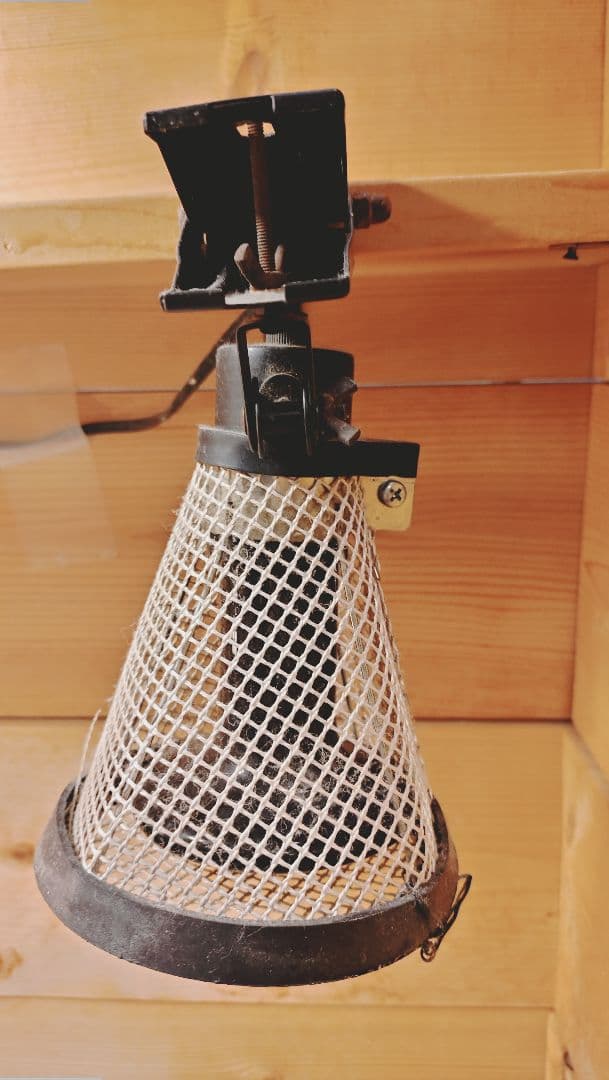 中型爬虫類飼育フルセット