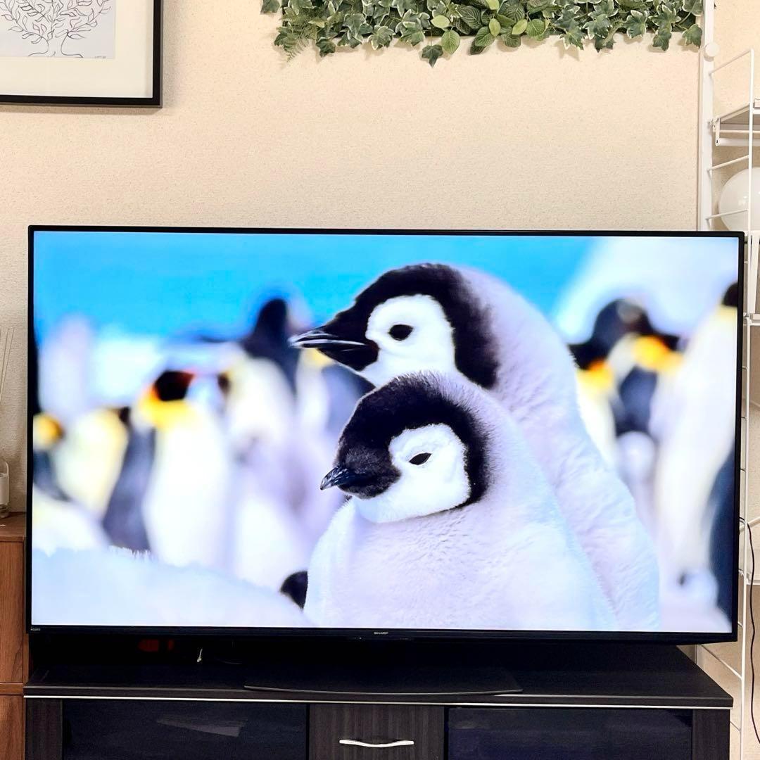 液晶テレビ シャープ アクオス 70インチ 4K 4T-C70DN1 家電 TV