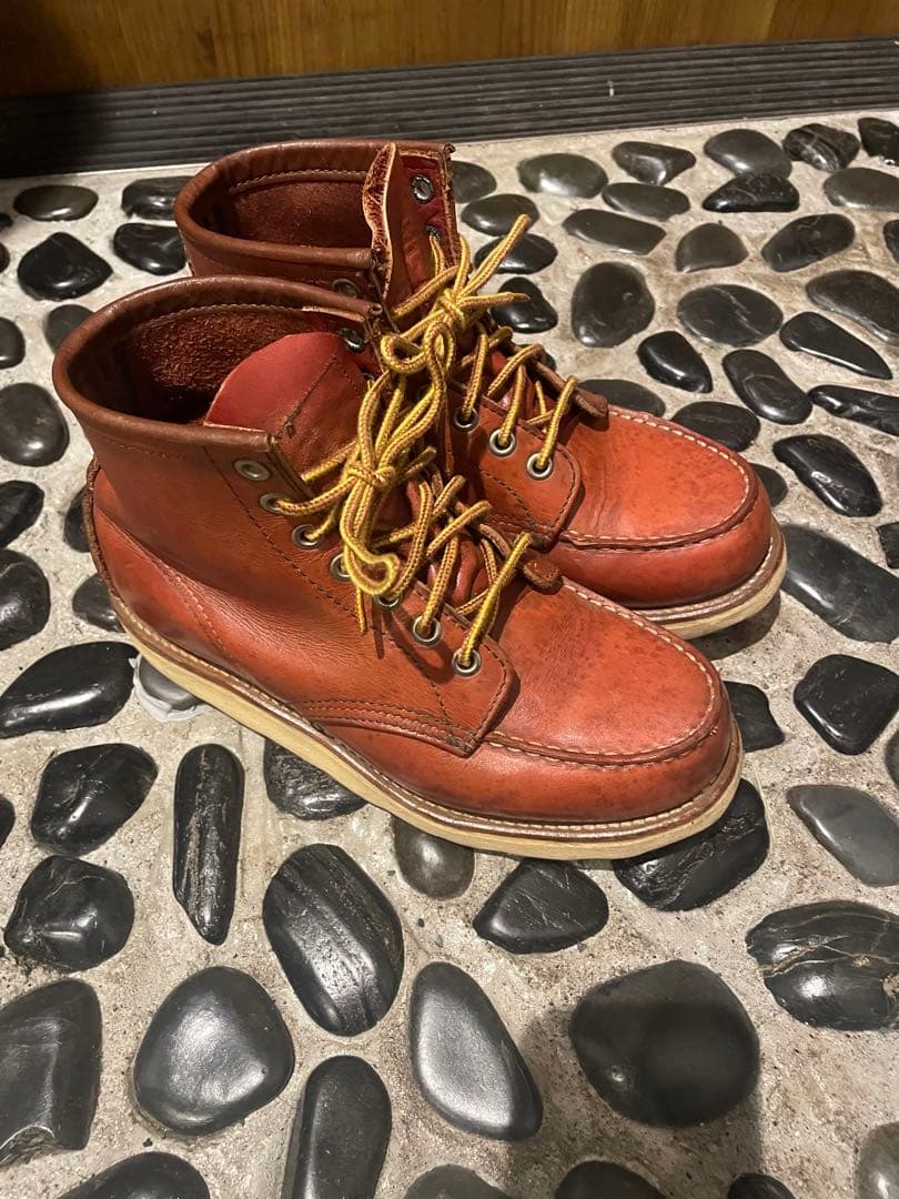 レッドウイング　アイリッシュセッター　23.5センチ