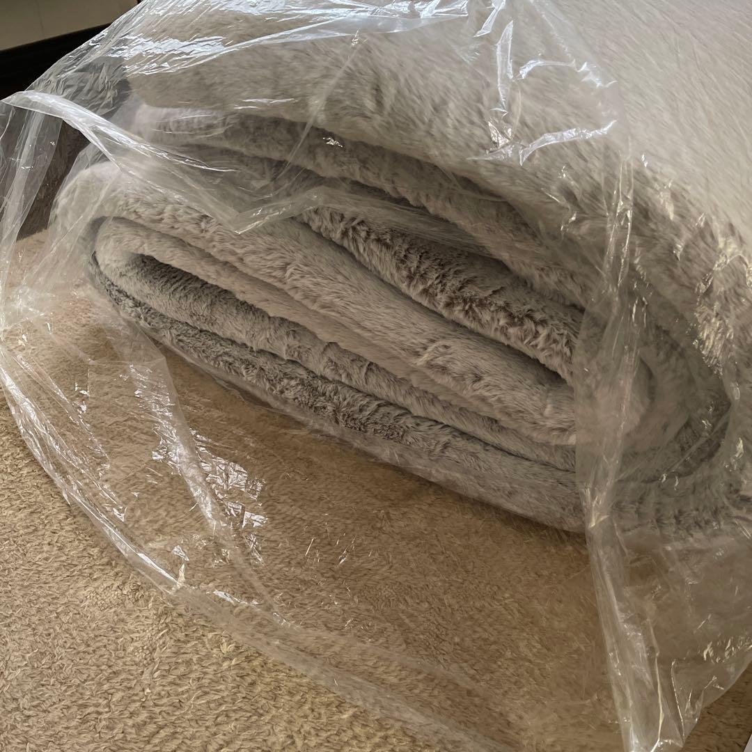 ニトリNウォームダブルスーパーラグ　極厚30ミリ　200×280【新品未使用品】