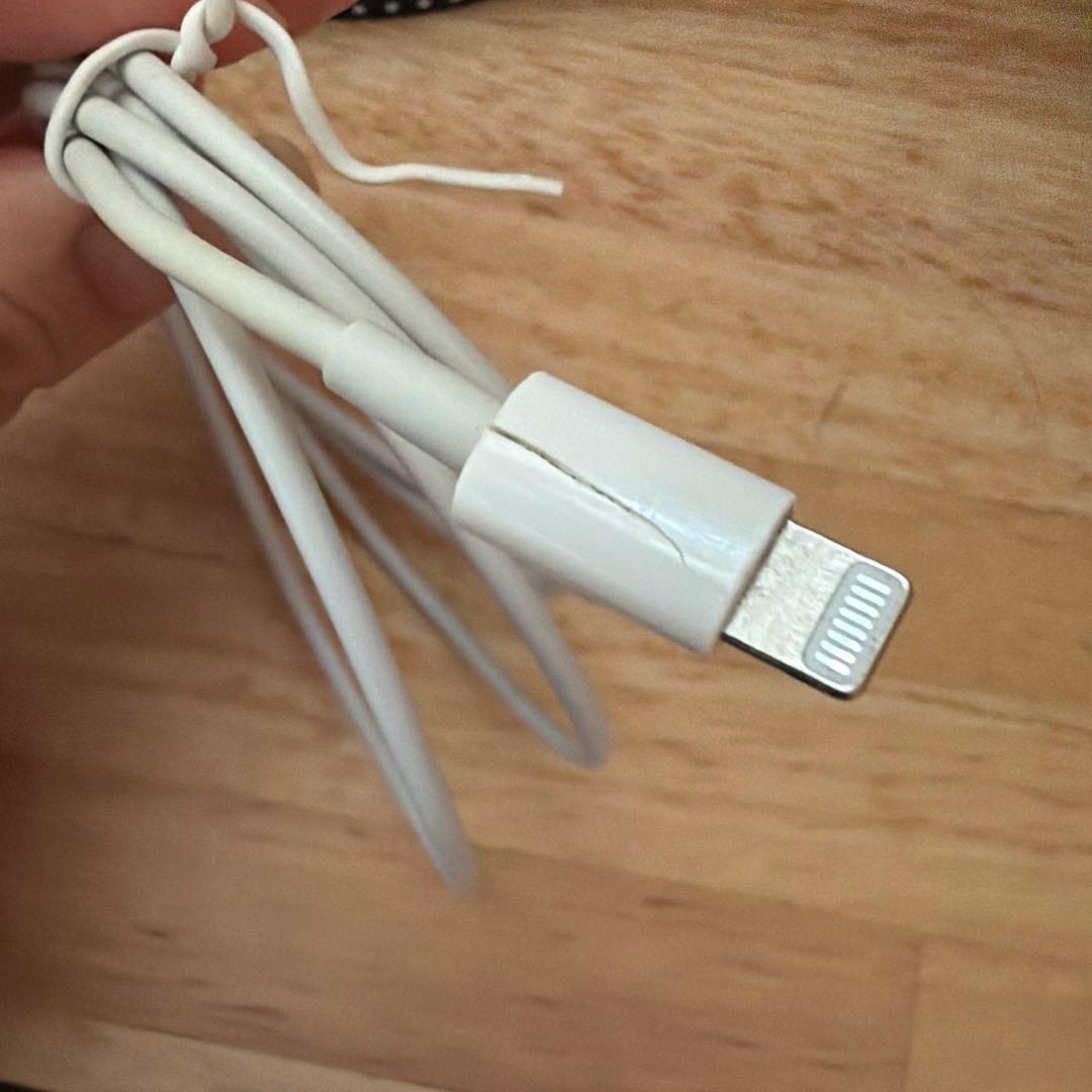 iPhone 13 Pro Max 256 GB シエラブルー　ケースおまけ付き