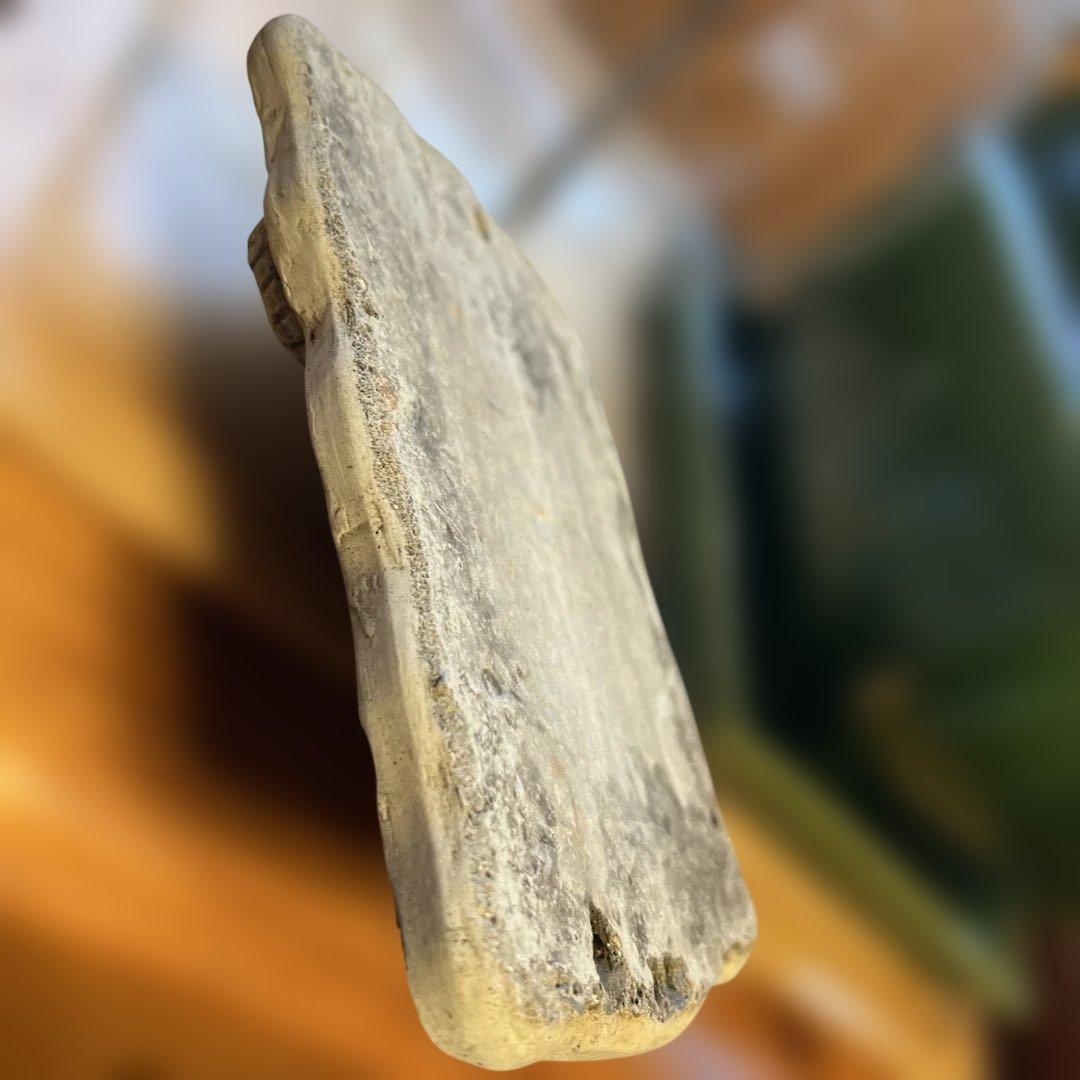 2015 wonderdecor イヤープレート