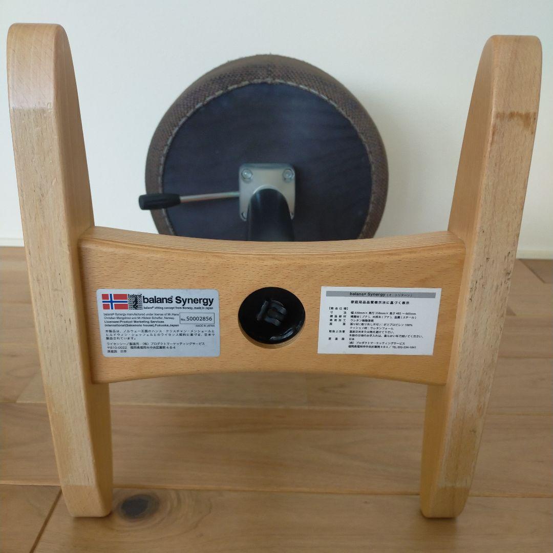 きのこのこのこ