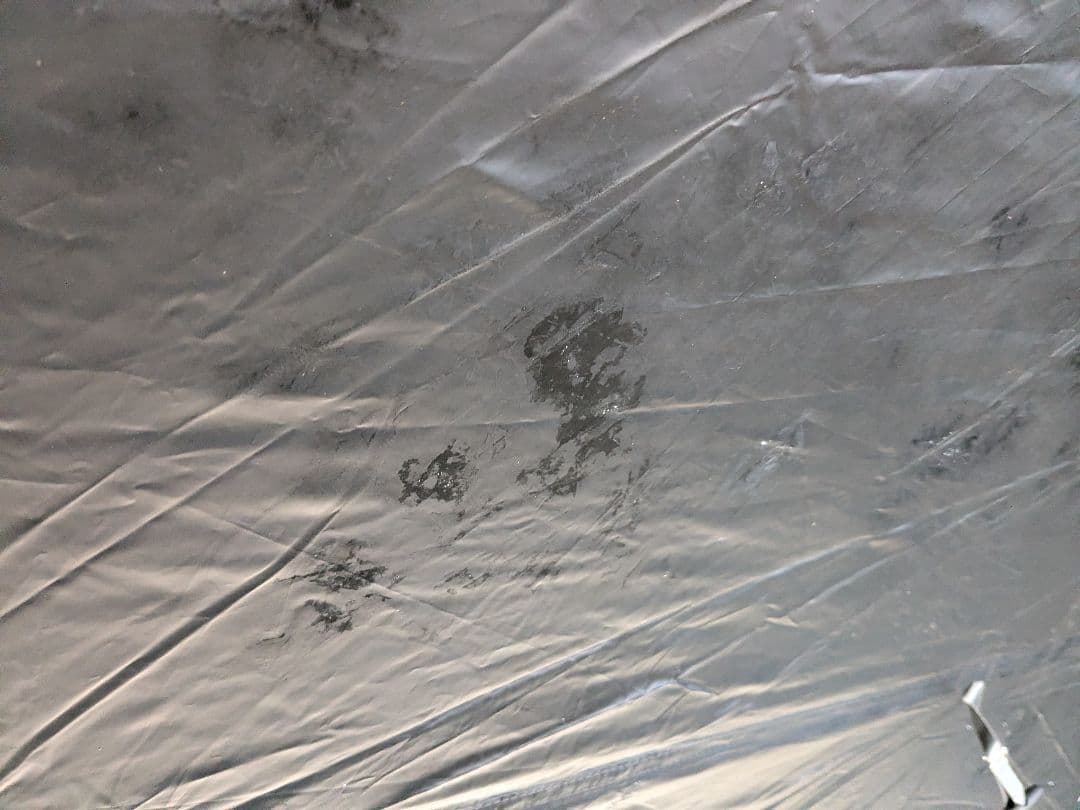 コールマン　タフスクリーン2ルームハウス/MDX+　ダークルーム