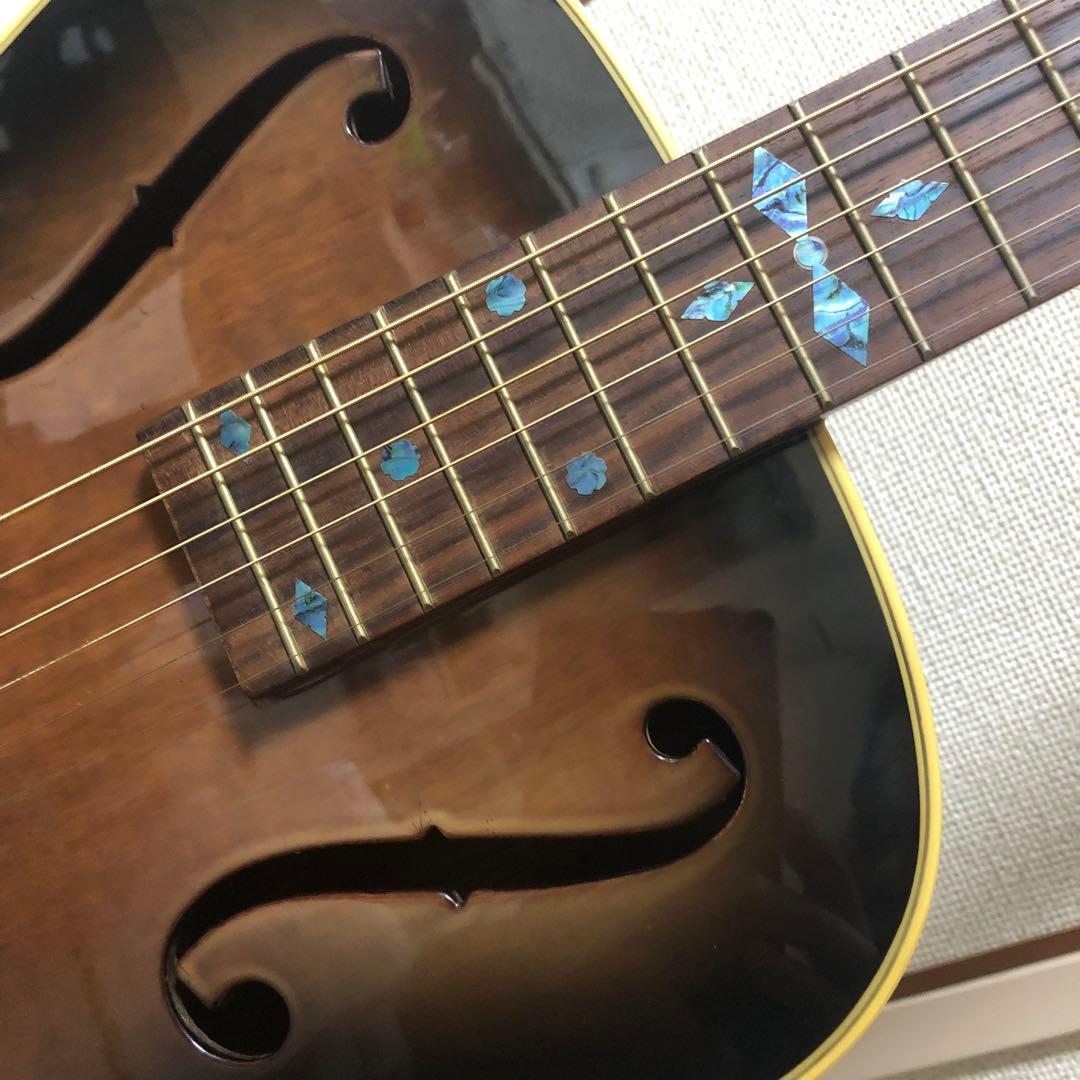 SxRG1 リゾネーターギター