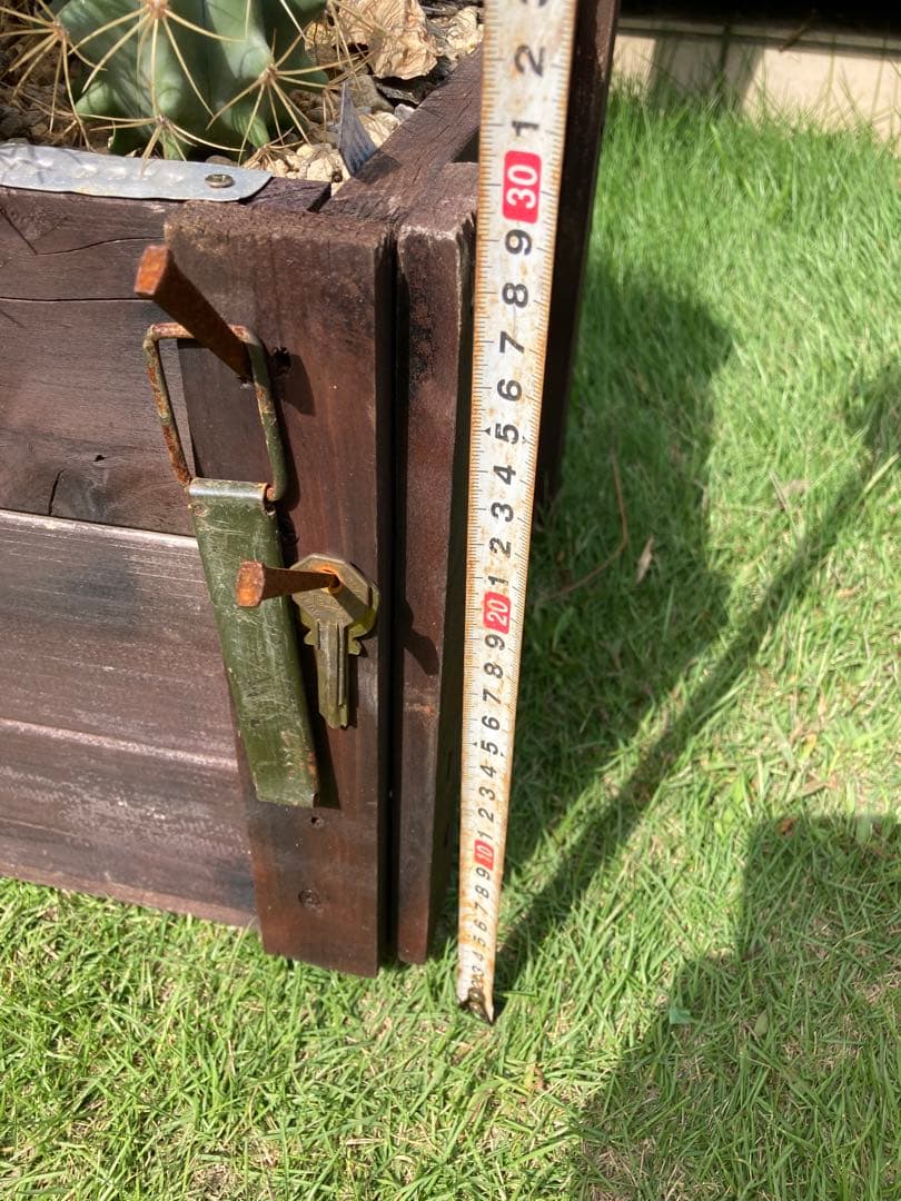 フェロカクタス王冠竜セット！ハビタット◇ドライガーデン多肉サボテン南国アガベ