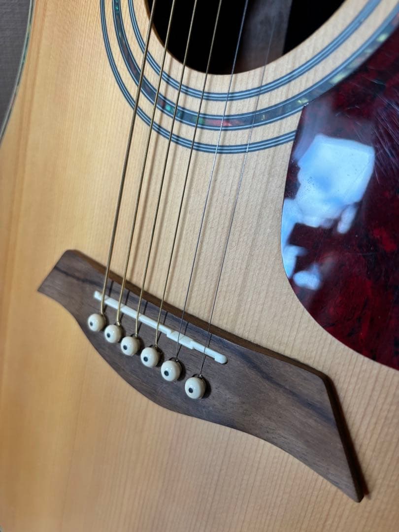 Elioth Revolution アコースティックギター セット