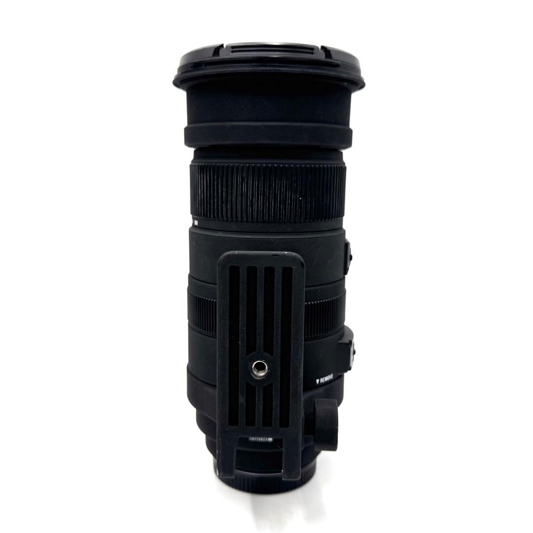 ❁大迫力！超望遠❁SIGMA 50-500mm DG OS HSM キャノン用