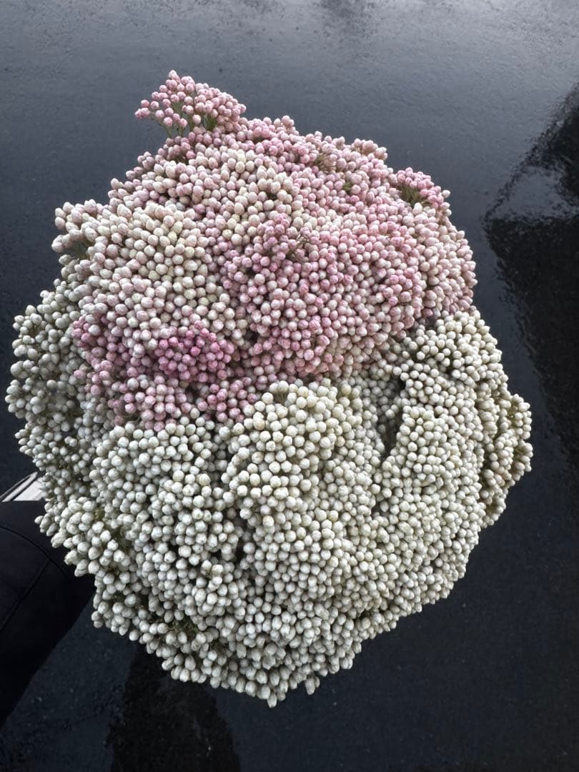 くるみ様 リクエスト 3点 まとめ商品