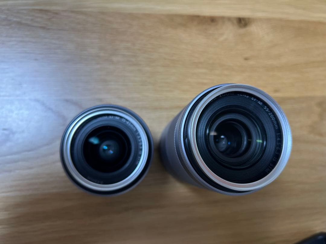 【美品】Canon デジタル一眼 EOS Kiss M2 ダブルズームキット