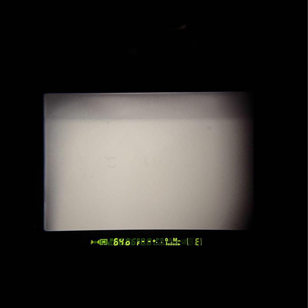 がんさん専用Nikon F100 完動品