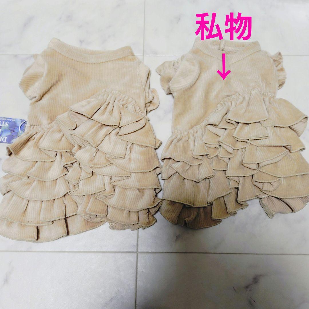 新品3色CORDUROY FRILLEDサーカスサーカスcircuscircus