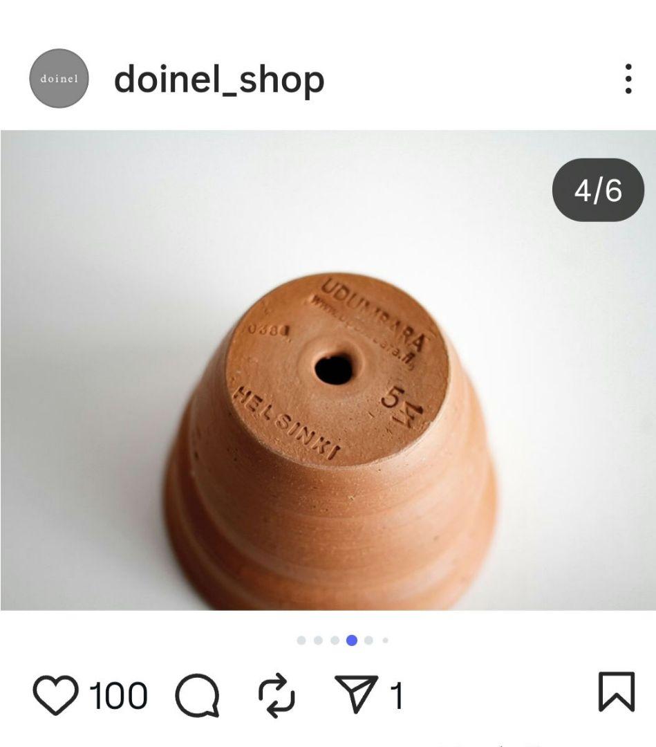 フィロデンドロン テヌー ビカクシダ アンスリウム ベイチー モンステラ