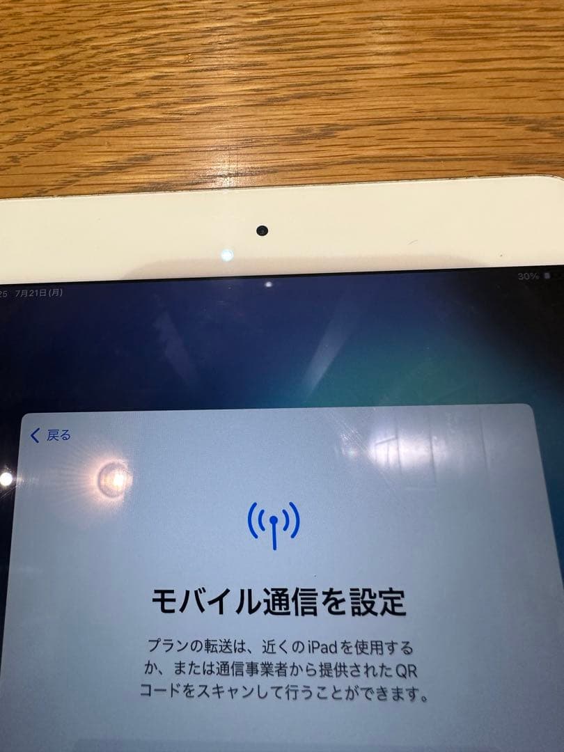 Apple iPad mini 第5世代　256GB Wi-Fi