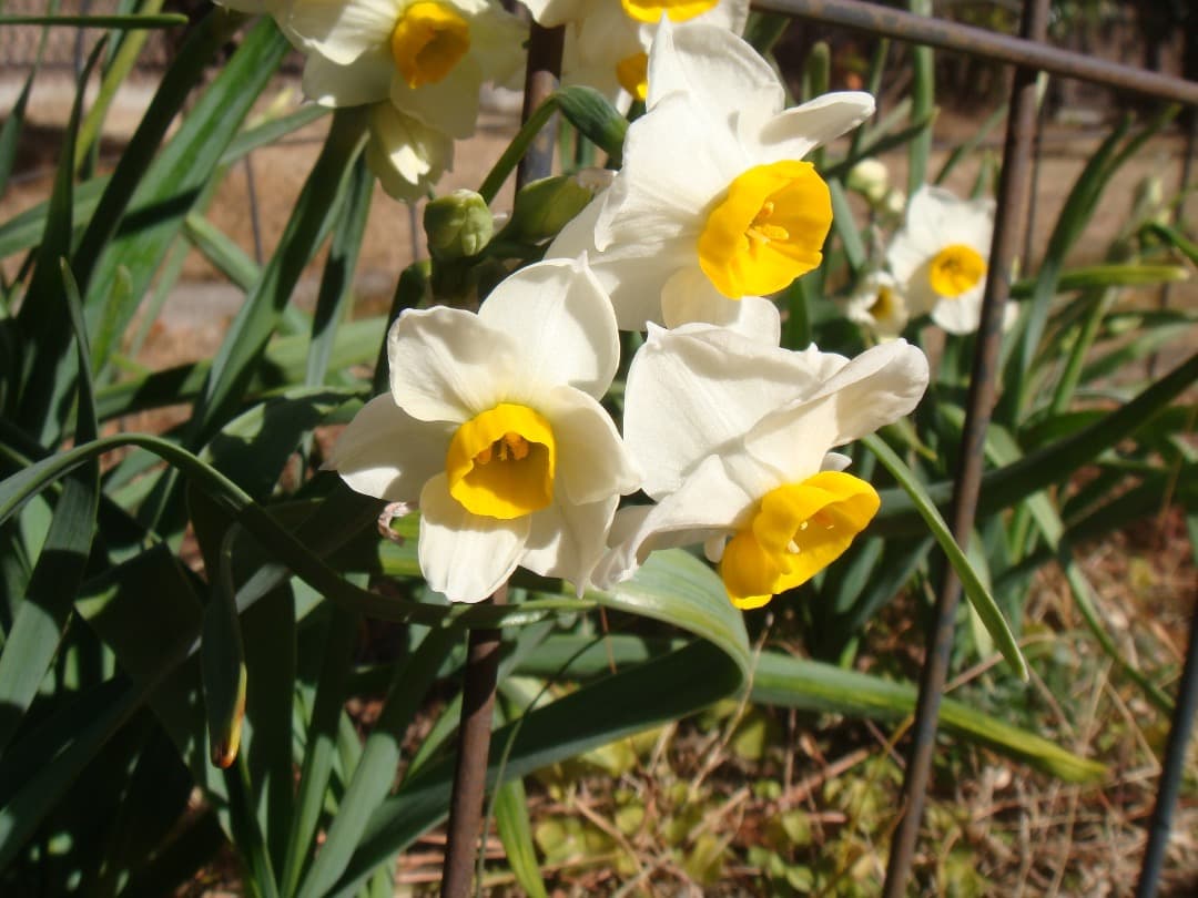 実写美⭕️【動作確認済み】SONY ソニー　Cyber-shot DSC-T70