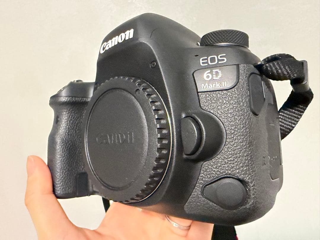 EOS 6D Mark II EF24-105 IS STM レンズキット