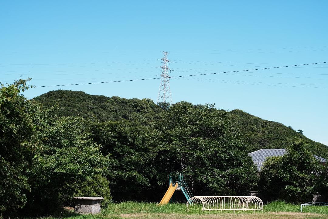 Canon FD55mm F1.2｜自然体を美しく残せる極上レンズ 294