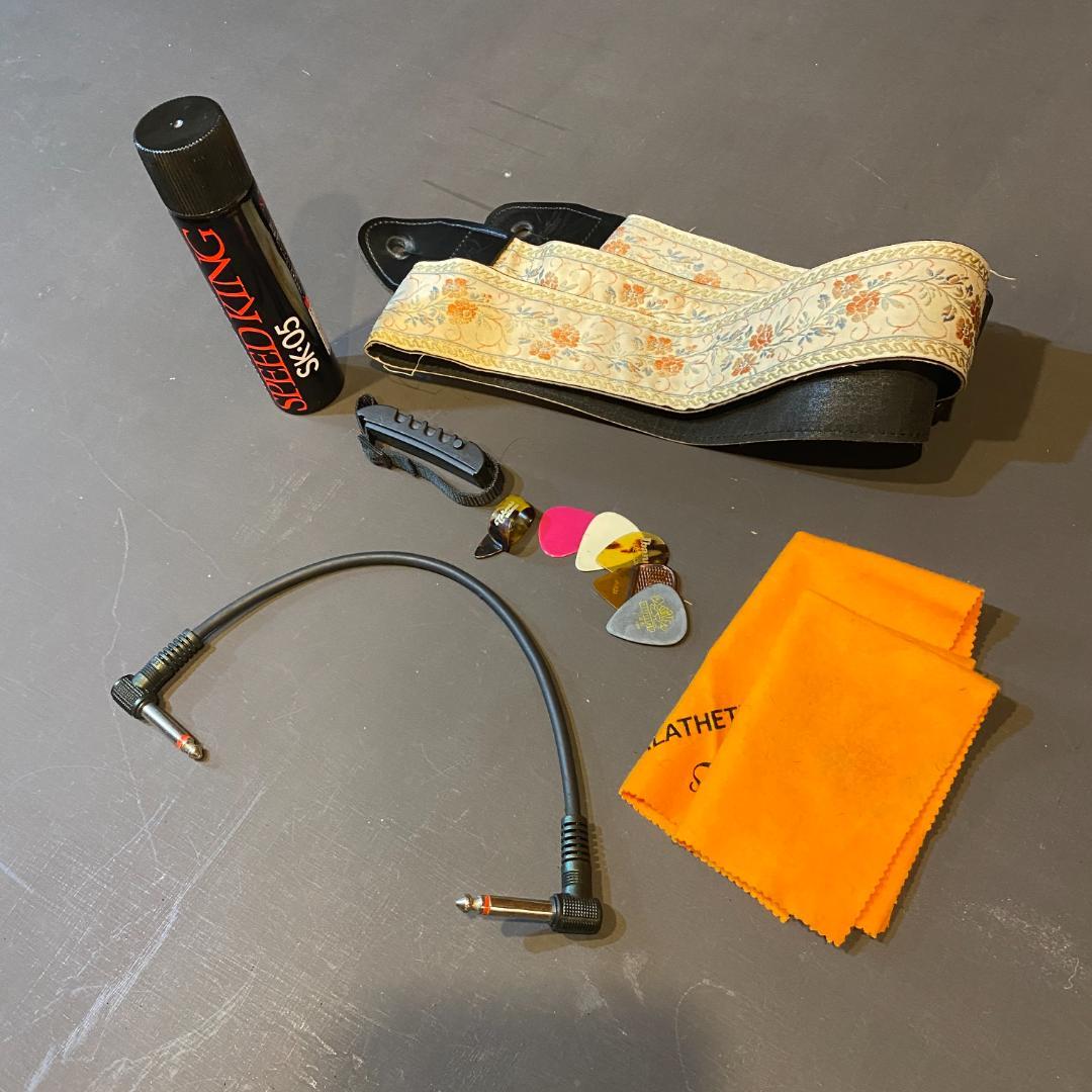 【超美品】タカミネ　エレアコギター ハードケース付き