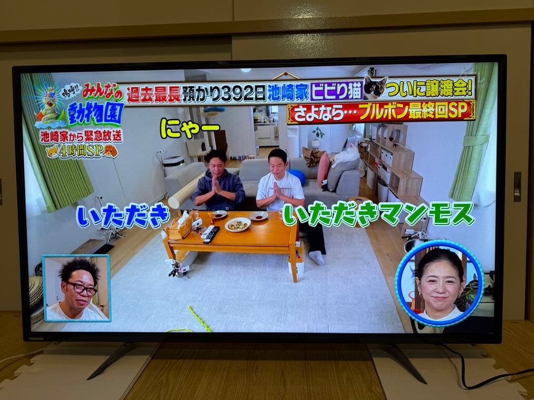 東芝　49C310X 49型2017年製⭕️上地、BS/CS動画可4k液晶テレビ