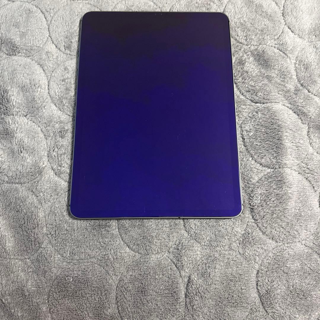 iPad pro 11インチ 第1世代 256GB セルラーMU102J/A