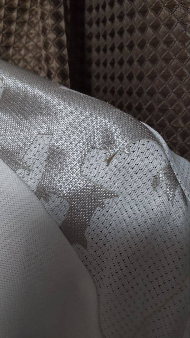 オリンピック・リヨン