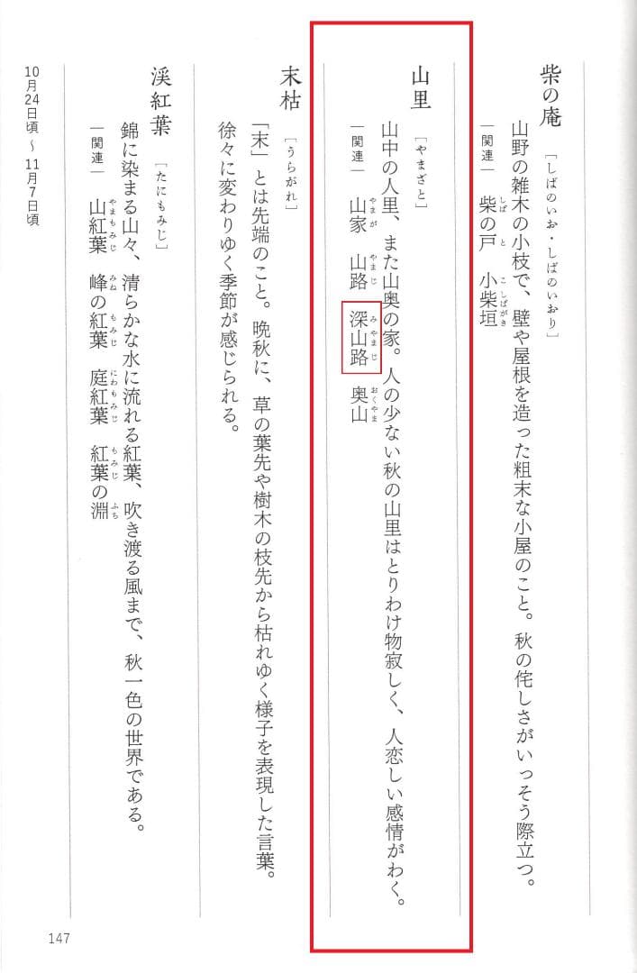 大徳寺511世管長 立花大亀造『竹茶杓』銘：深山路（共箱・共筒）